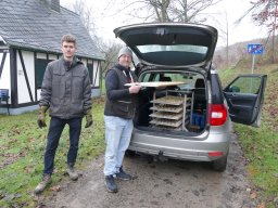 Adventsplätzchen_2024