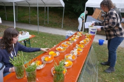 Backesfest 2025