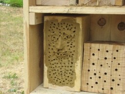 Insektenhotel_2019