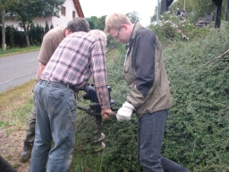 Insektenhotel_aufstellen_2019