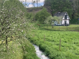 verwaltungsgespraech23_01