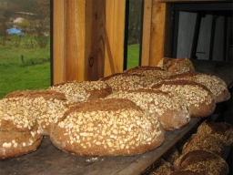 Frühjahrsbacktag_2008