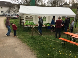 Frühjahrsbacktag_2023