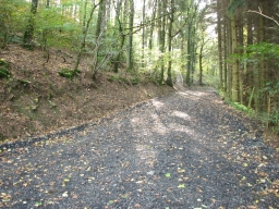Eibel_2009