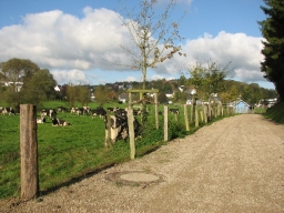 Eibel_2009