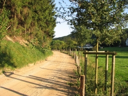 Eibel_2009
