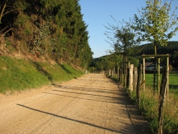 Eibel_2009