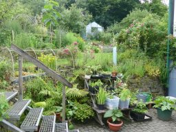 Tag d. offenen Gartens_2024