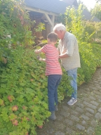 Pflegearbeiten_25