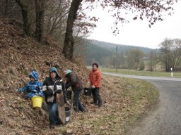 Saubere_Landschaft_2013