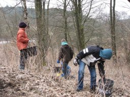 Saubere_Landschaft_2013